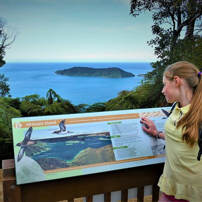 1-Day Cruise in Queen Charlotte Track & Kupes Trail Walk